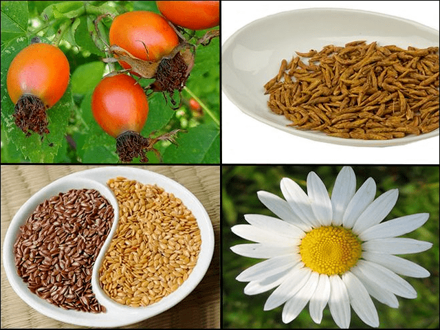 Herbs of cystitis