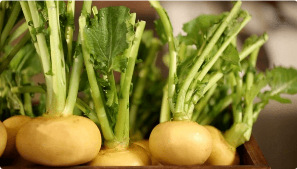 Turnip for cystitis