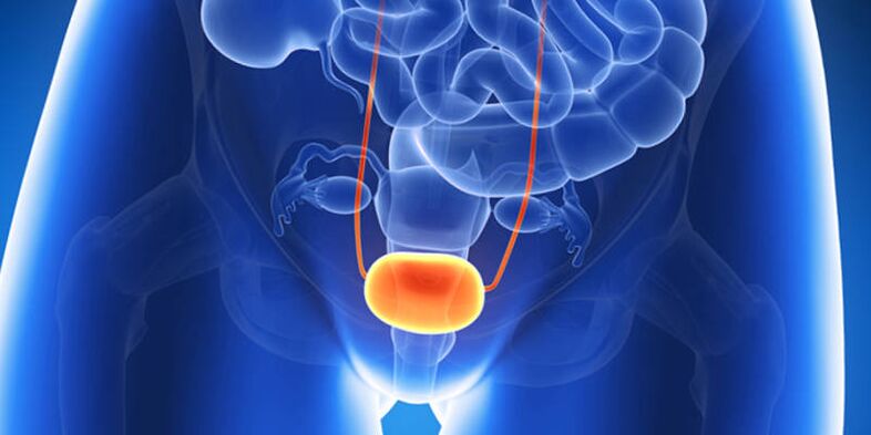 Treatment of bladder infections with tablets